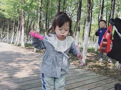 -艾溪湖湿地公园