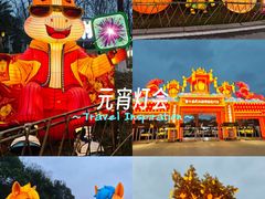 -武汉园博园(武汉自然博物馆)