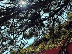 -泰山风景名胜区