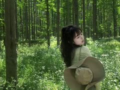 -黄海国家森林公园