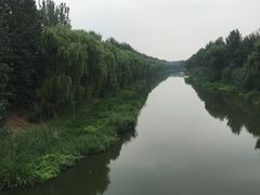 -东郊湿地公园