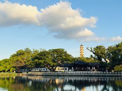 -江心屿景区