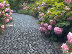 -常州古运河南大街文化旅游区-人民公园