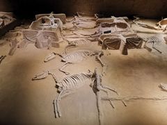 -洛阳周王城天子驾六博物馆