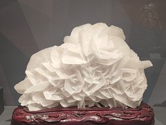 -湖南省地质博物馆