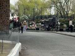 -J Create城市露营咖啡·简餐·宠物(上海动物园店)