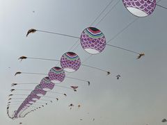 -潍坊滨海云门国际风筝放飞场