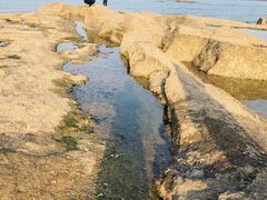 -日照灯塔风景区