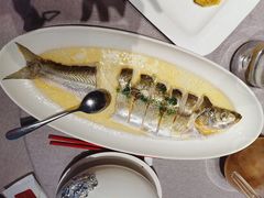 鸡油蒸白水鱼-拾宴(汇智国际商业中心店)