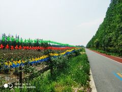 -上海长兴岛郊野公园