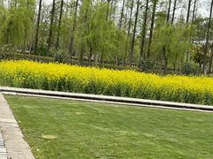 -前小桔亲子创意农场·草莓采摘·露营烧烤