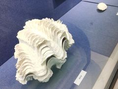 -大连自然博物馆