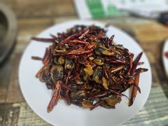 -西塔隆太白烤牛肉馆(图们路店)