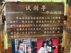 -合肥滨湖国家森林公园