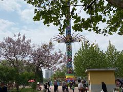 -朝阳公园游乐园