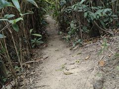 -鸡枕山