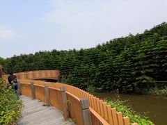 -迪茵湖田家舍生态农场