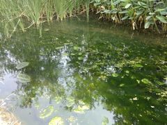 -白水寺森林公园