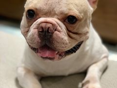 -青林湾公园-东停车场