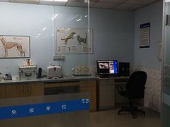 -贝利宠物医院·骨科·眼科·肿瘤转诊中心(南坪诊疗中心)