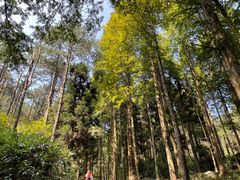 -罗田薄刀峰风景区