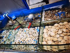 水产区-凯悦·东方公主号 全球海鲜自助餐厅(凯丹广场店)