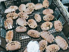 -霞涌市场海鲜摆卖区