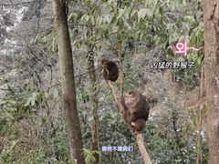 -九峰山