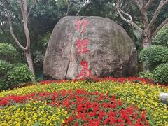 -野狸岛