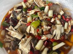 -飞虹鱼馆(春华路店)