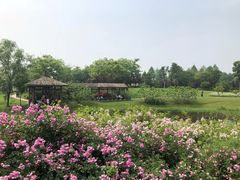 -尚贤河湿地