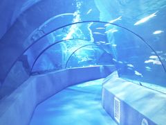 -太平洋海底世界