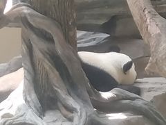 -宁波野生动物园