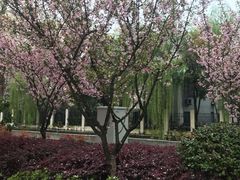 -凡老头米线砂锅(古荡新村西粮站)