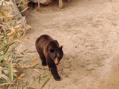 -济南野生动物世界