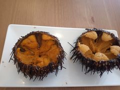 -海胆小馆(东北水饺·春柳店)