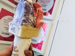-柠檬车露(卖草地店)