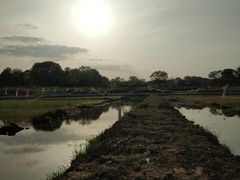 -庐州太太(信地店)