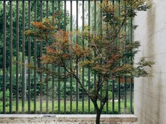 -上海崧泽遗址博物馆