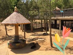 -石家庄市动物园