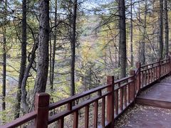 -芦芽山旅游度假区