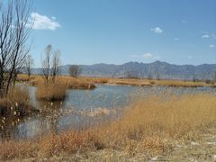 -野鸭湖国家湿地公园