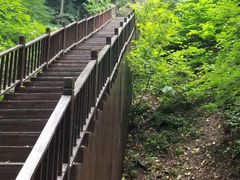 -天女山森林公园