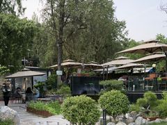 -蘇河湾·新鲁菜·泰山宴(泰山店)
