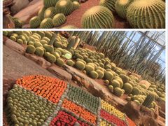 -南通洲际绿博园