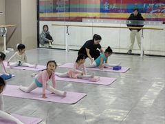 -舞蕾舞蹈(特长生校区)