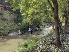 -广州白江湖森林公园