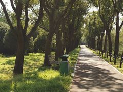 -柳鹭田园区