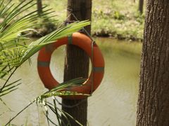 -合肥滨湖国家森林公园