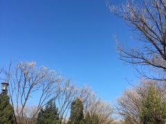 -中国政法大学(昌平校区)